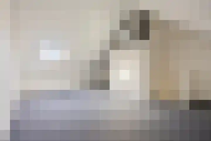 Suikerdoossingel 25 Maasbracht thumbnail 24