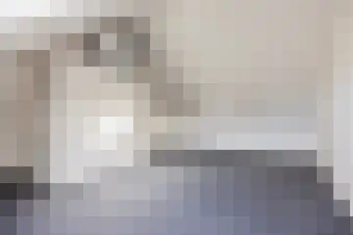 Suikerdoossingel 25 Maasbracht thumbnail 25