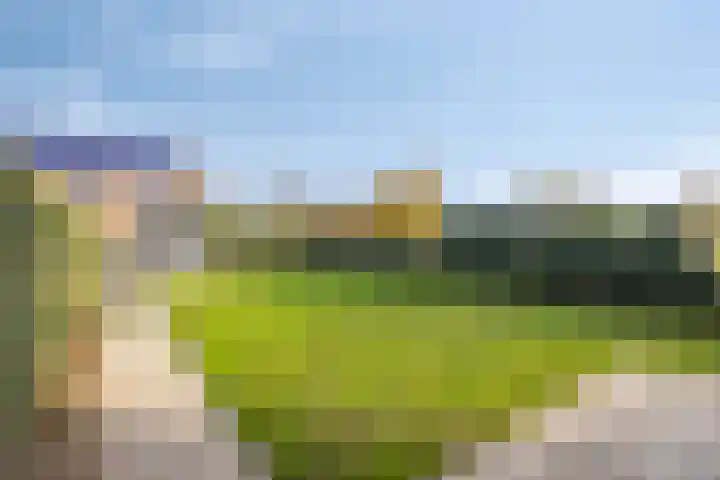 Suikerdoossingel 25 Maasbracht thumbnail 28