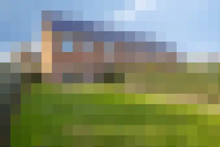 Suikerdoossingel 25 Maasbracht foto 3