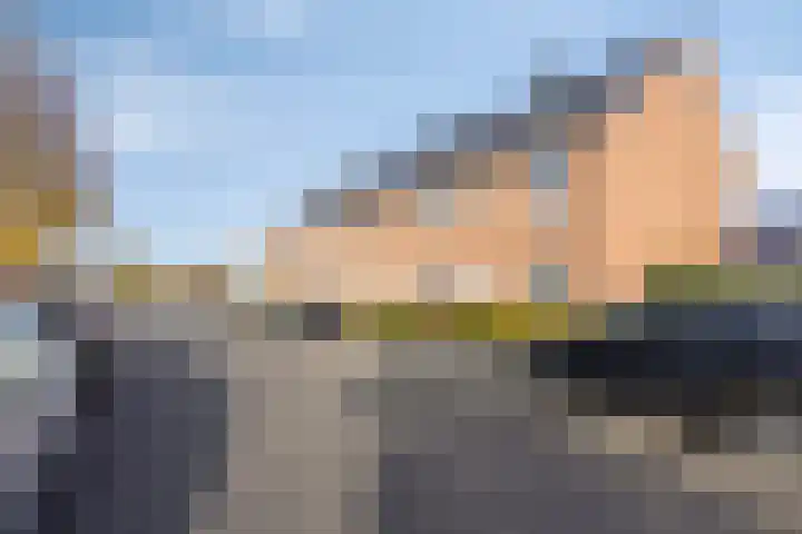 Suikerdoossingel 25 Maasbracht thumbnail 30