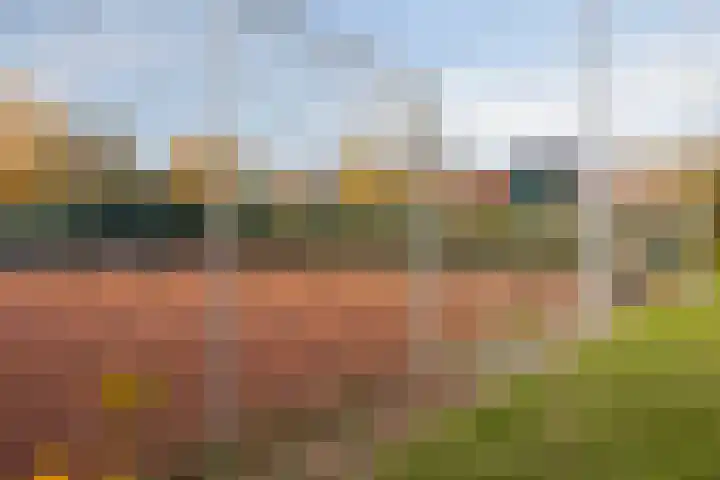 Suikerdoossingel 25 Maasbracht thumbnail 32