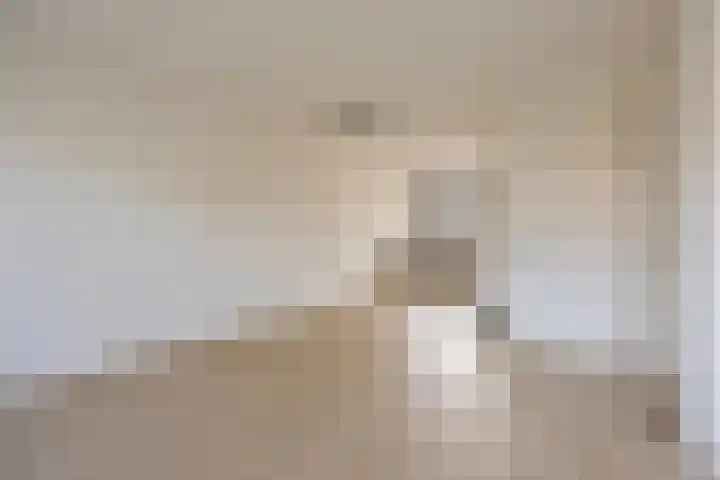 Suikerdoossingel 25 Maasbracht thumbnail 8