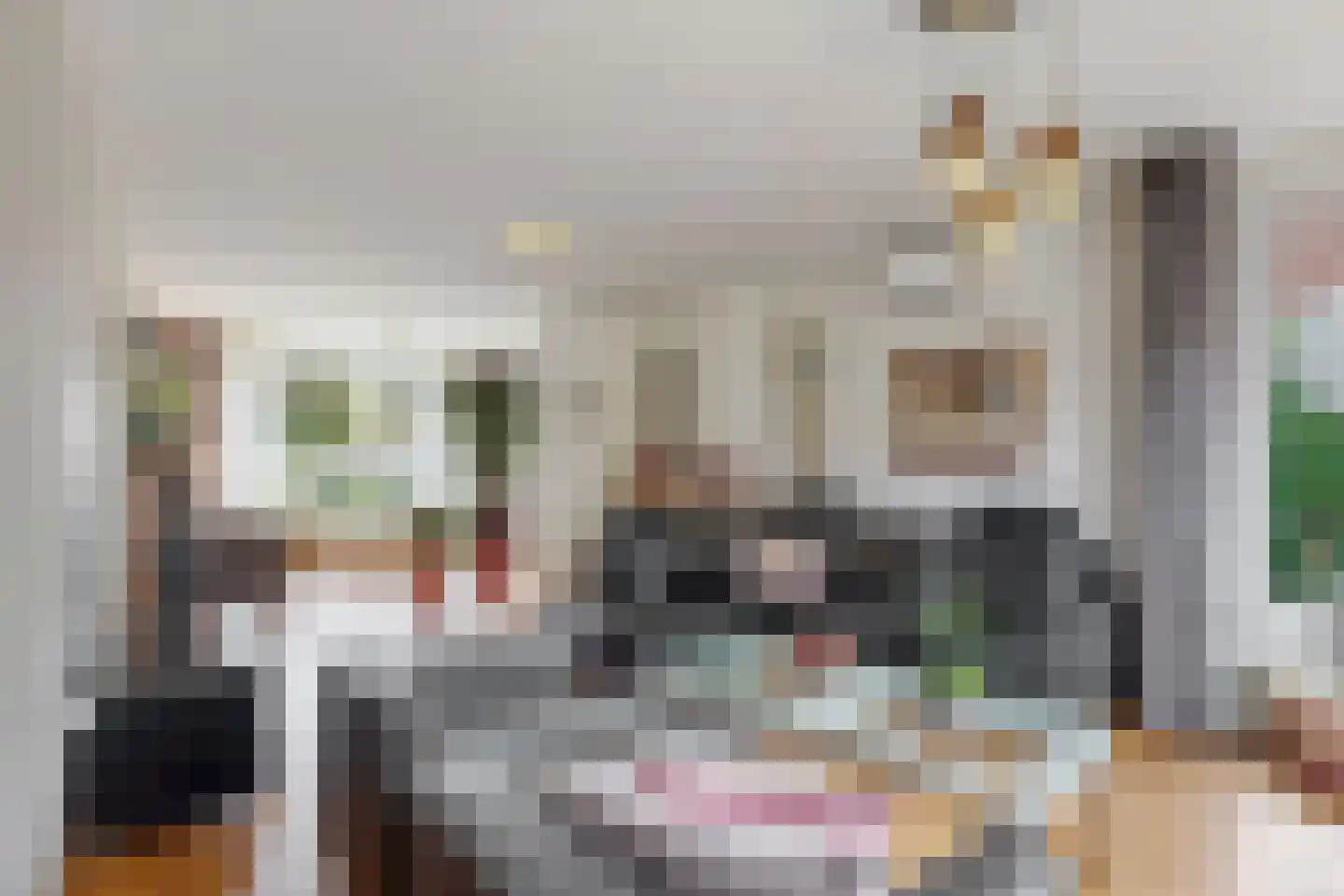 Suikerdoossingel 26 Maasbracht thumbnail 13