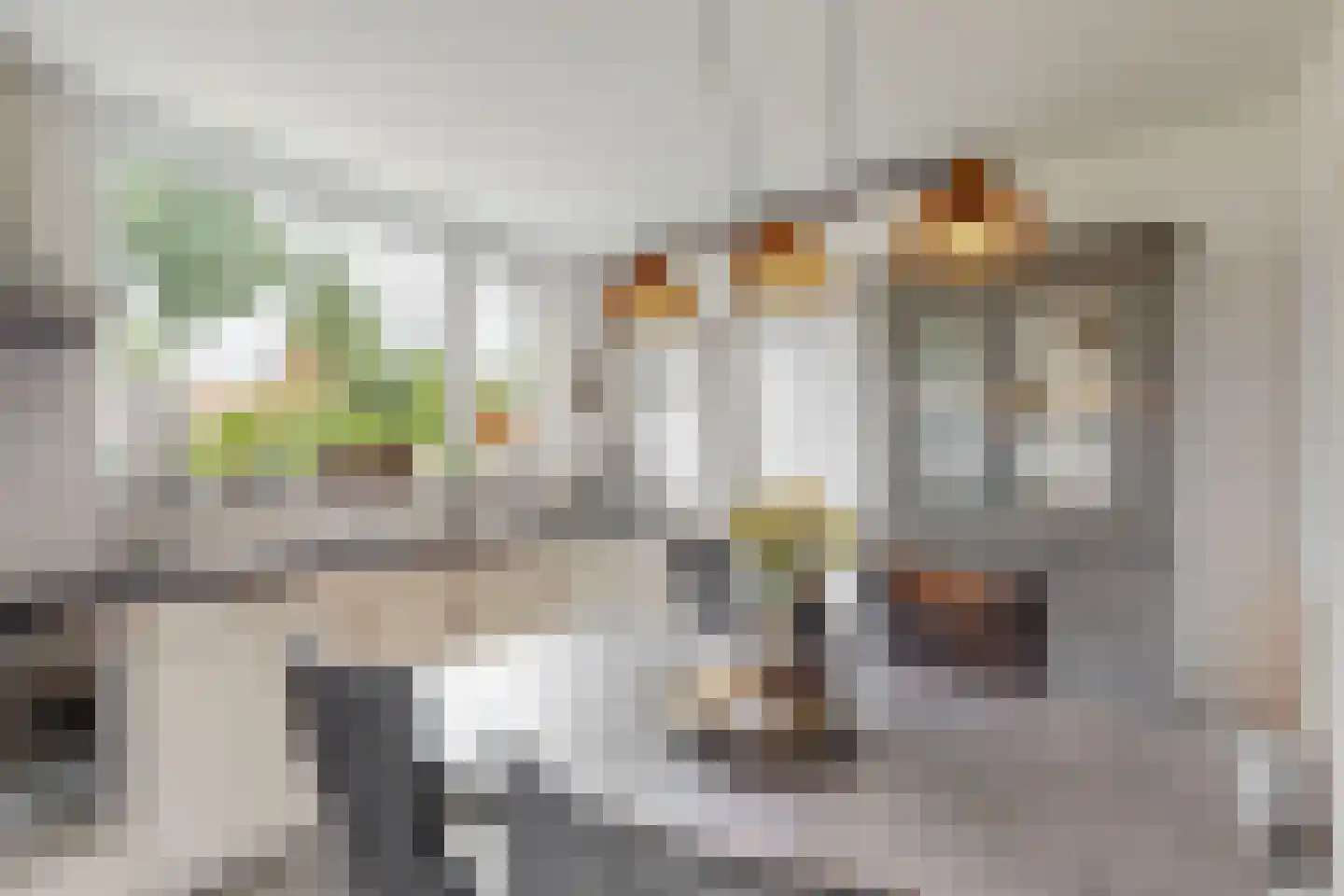 Suikerdoossingel 26 Maasbracht thumbnail 16
