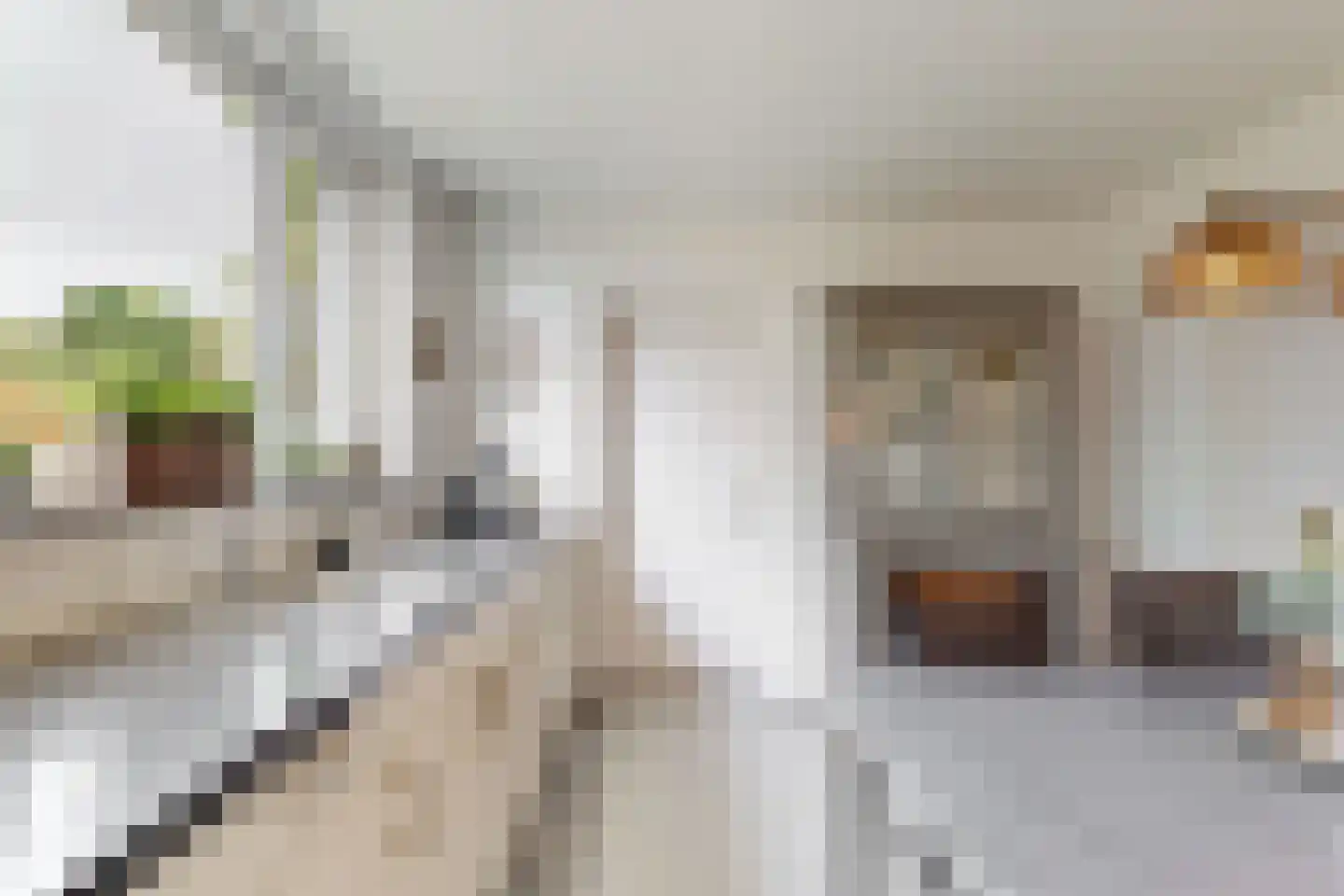 Suikerdoossingel 26 Maasbracht thumbnail 17