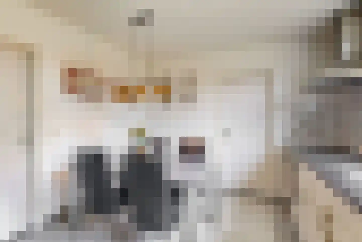 Suikerdoossingel 26 Maasbracht thumbnail 19