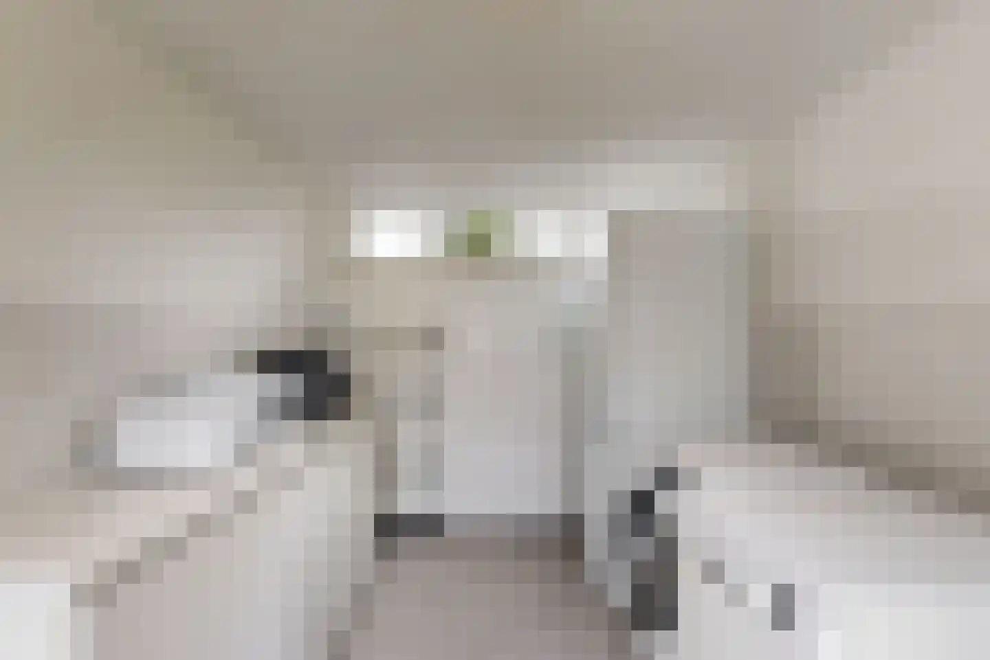 Suikerdoossingel 26 Maasbracht thumbnail 21