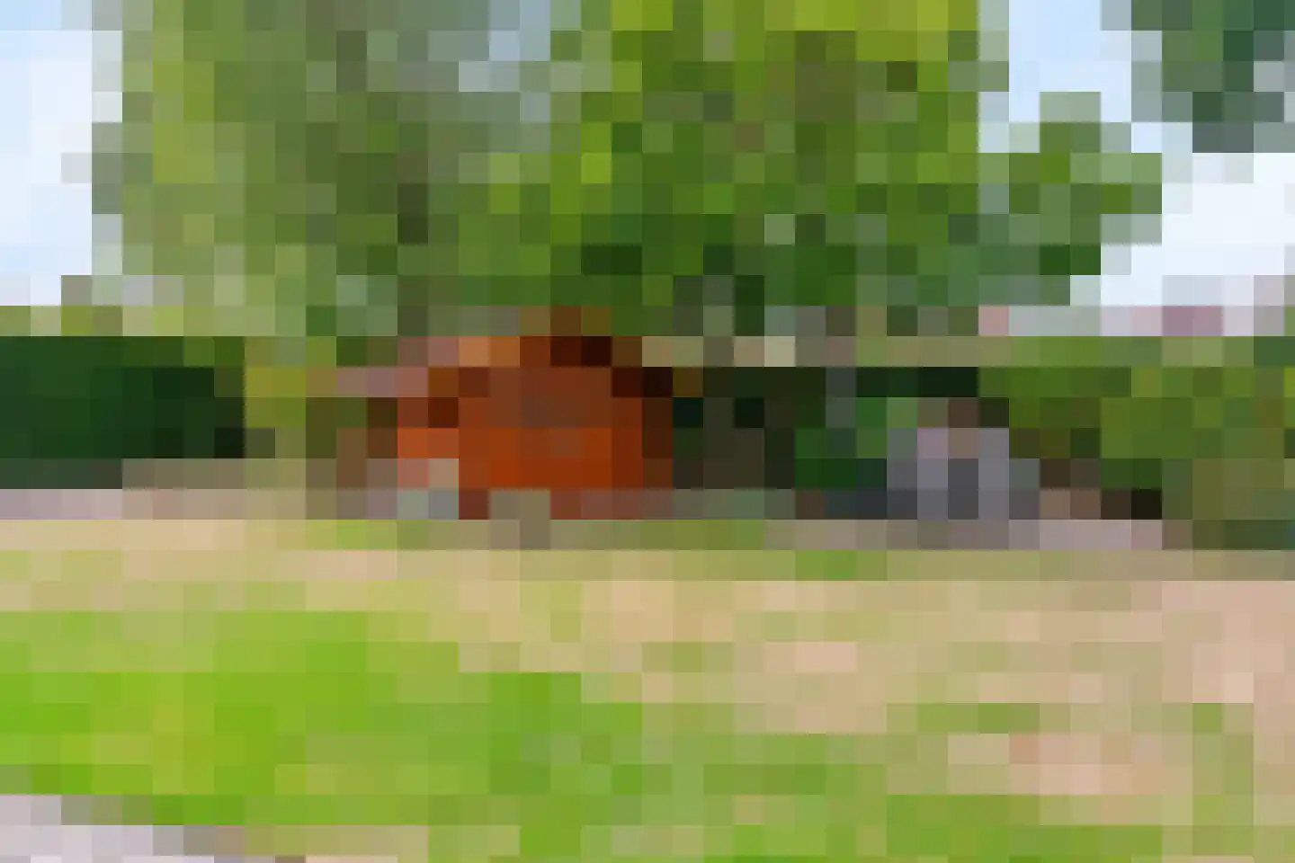 Suikerdoossingel 26 Maasbracht thumbnail 4