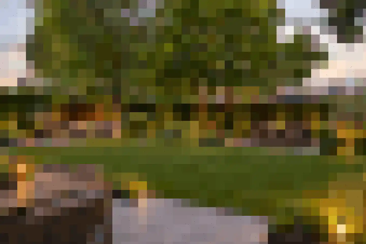 Suikerdoossingel 26 Maasbracht thumbnail 48