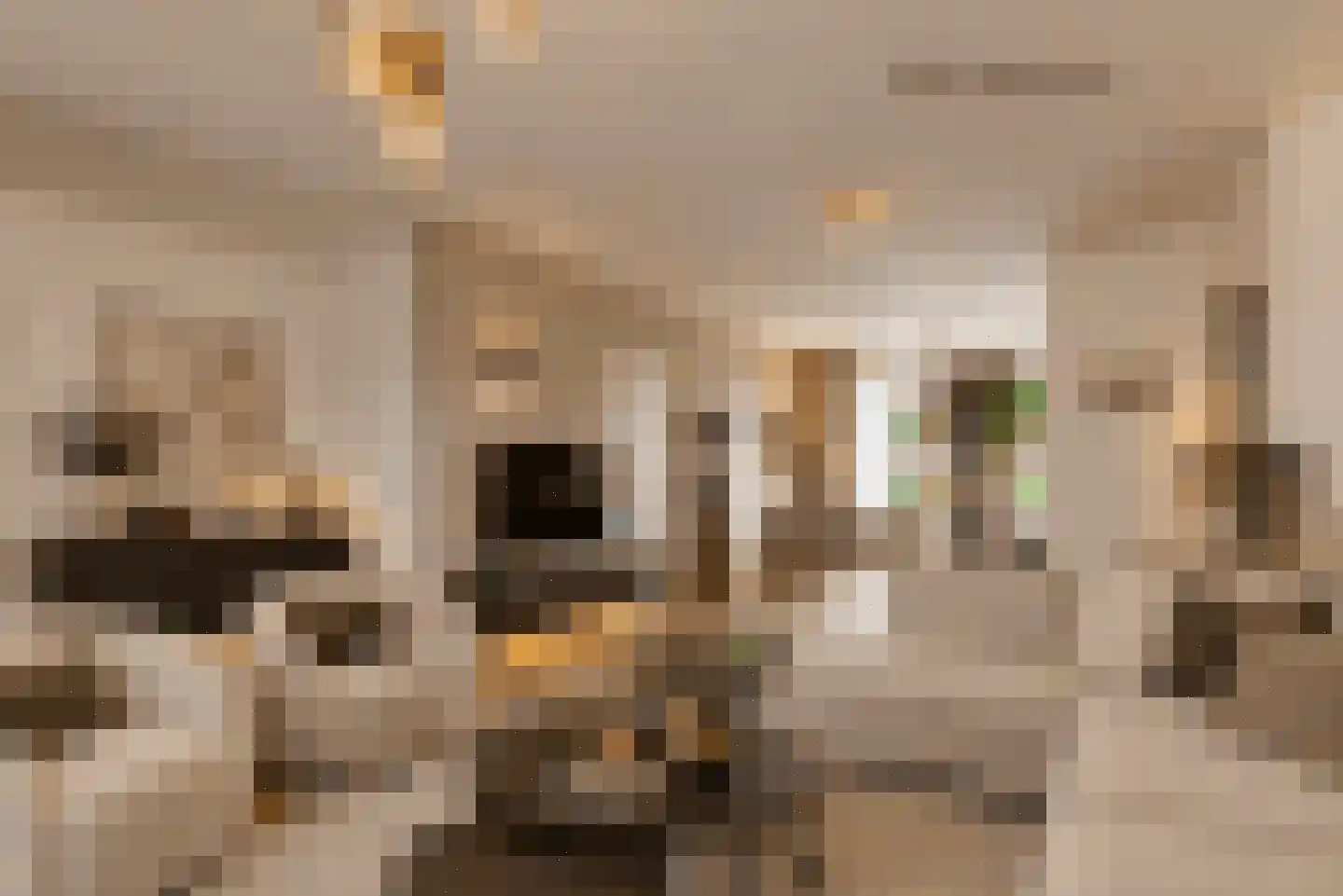 Suikerdoossingel 26 Maasbracht thumbnail 49