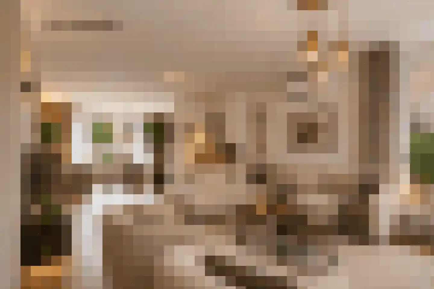 Suikerdoossingel 26 Maasbracht thumbnail 50