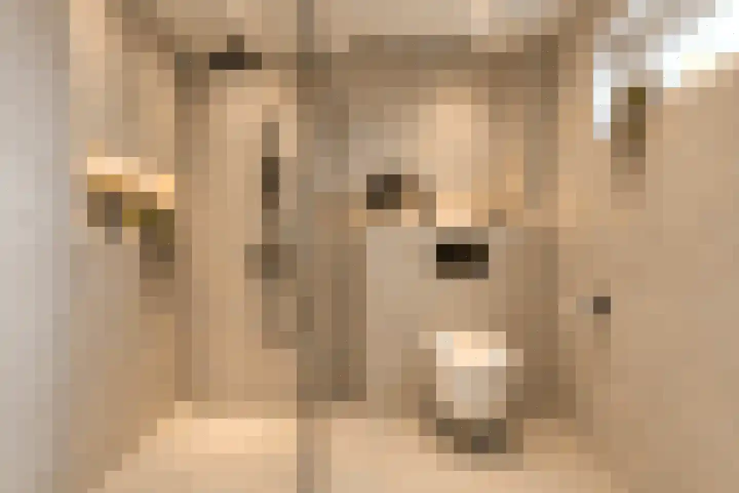 Suikerdoossingel 26 Maasbracht thumbnail 51