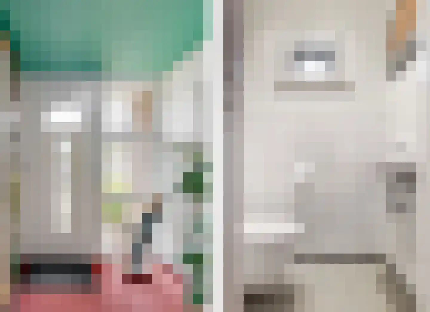 Suikerdoossingel 26 Maasbracht thumbnail 8