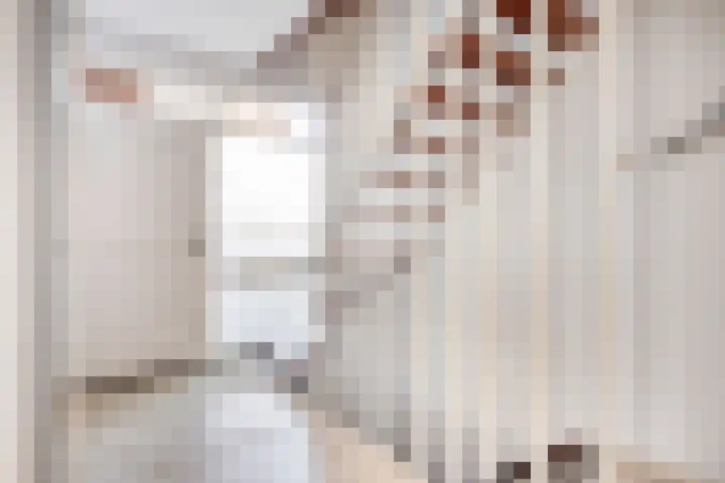 Suikerdoossingel 28 Maasbracht thumbnail 11