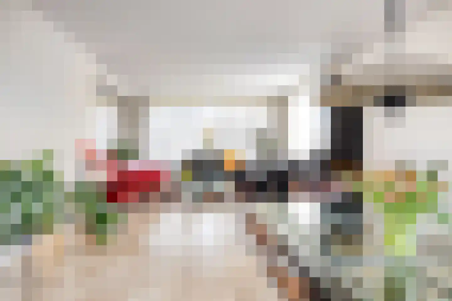 Suikerdoossingel 28 Maasbracht thumbnail 18