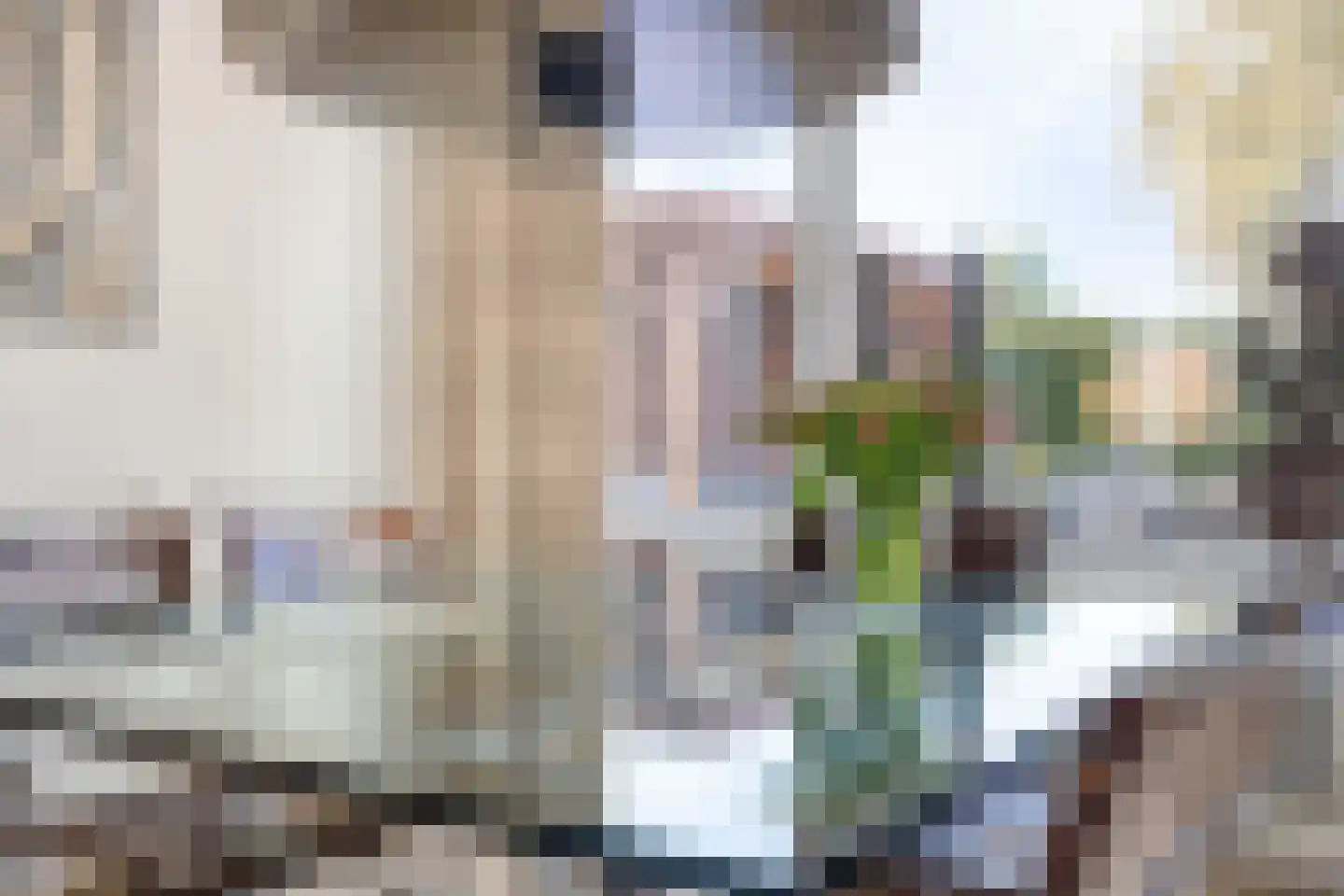Suikerdoossingel 28 Maasbracht thumbnail 21