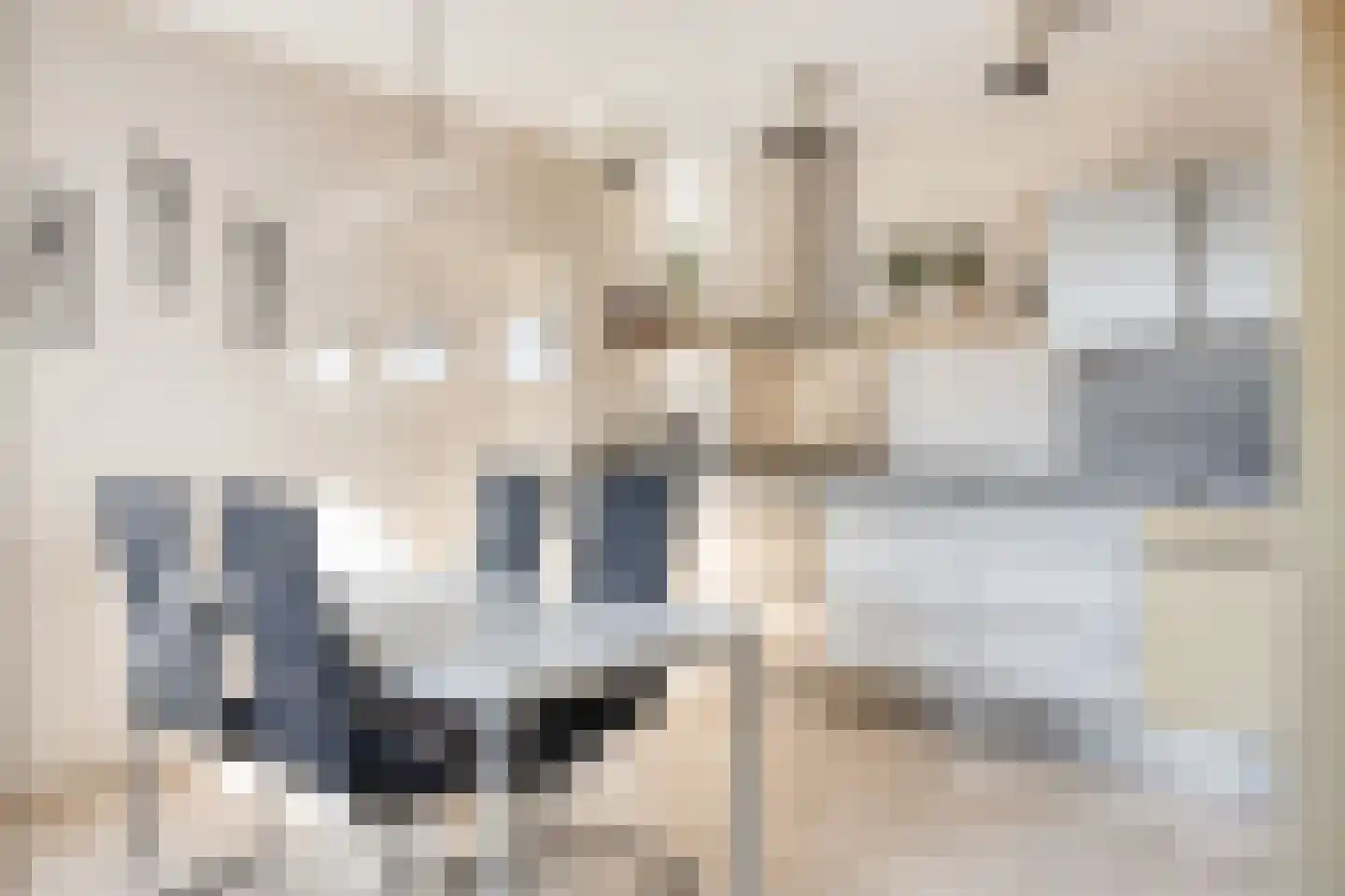 Suikerdoossingel 28 Maasbracht thumbnail 29