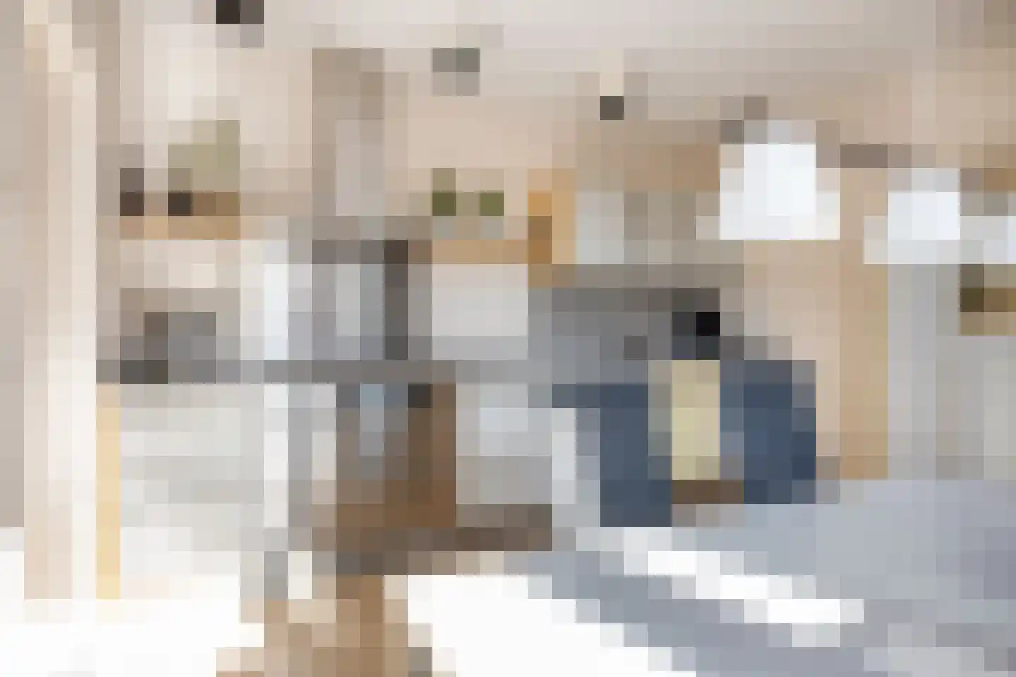 Suikerdoossingel 28 Maasbracht thumbnail 31
