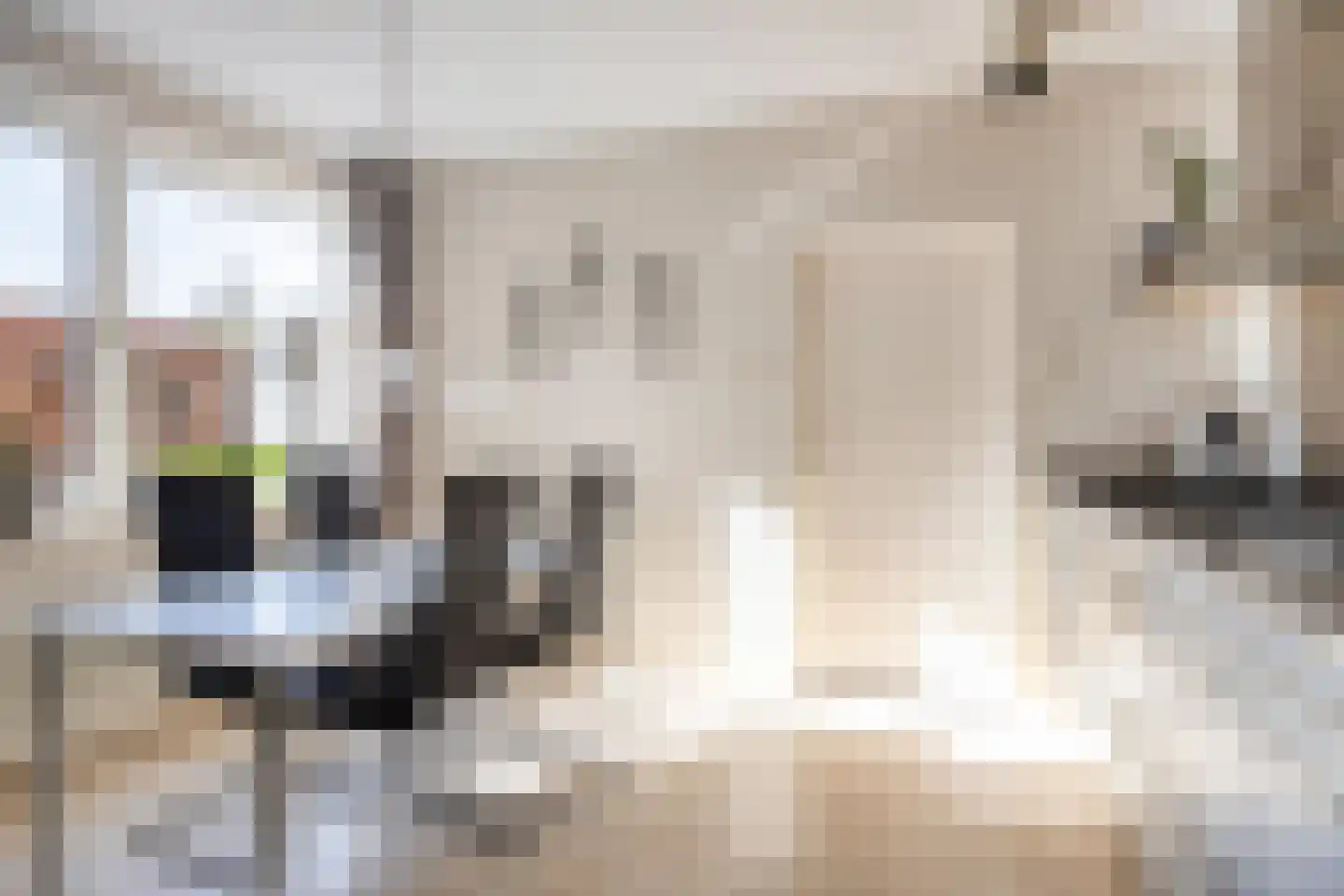 Suikerdoossingel 28 Maasbracht thumbnail 32