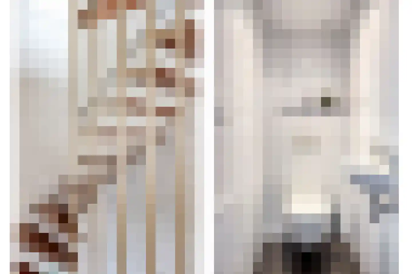 Suikerdoossingel 28 Maasbracht thumbnail 40