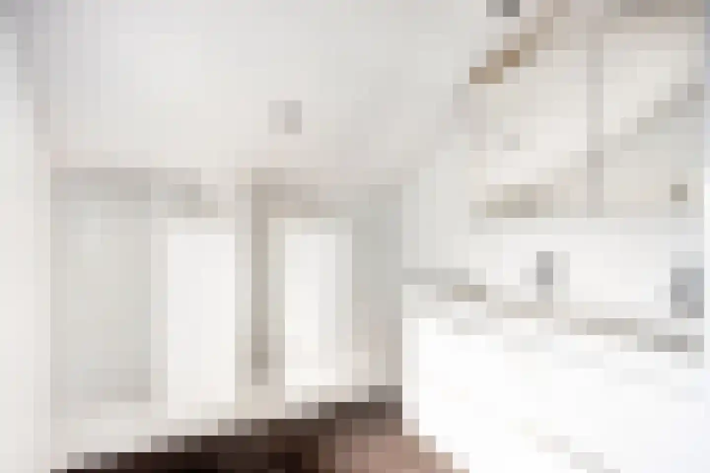 Suikerdoossingel 28 Maasbracht thumbnail 55