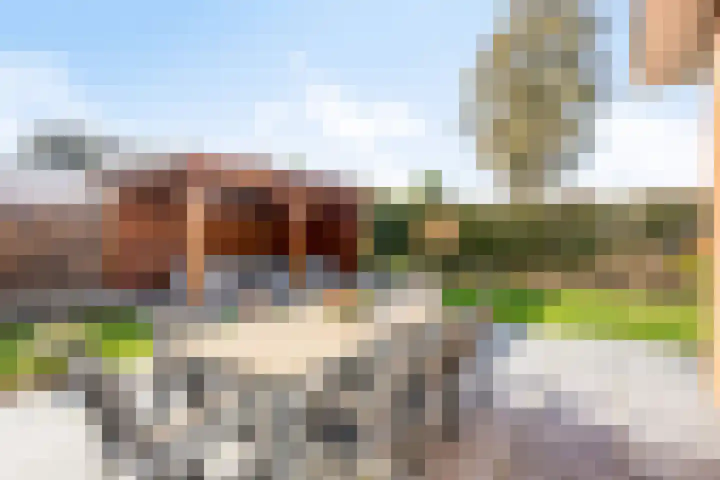 Suikerdoossingel 28 Maasbracht thumbnail 68