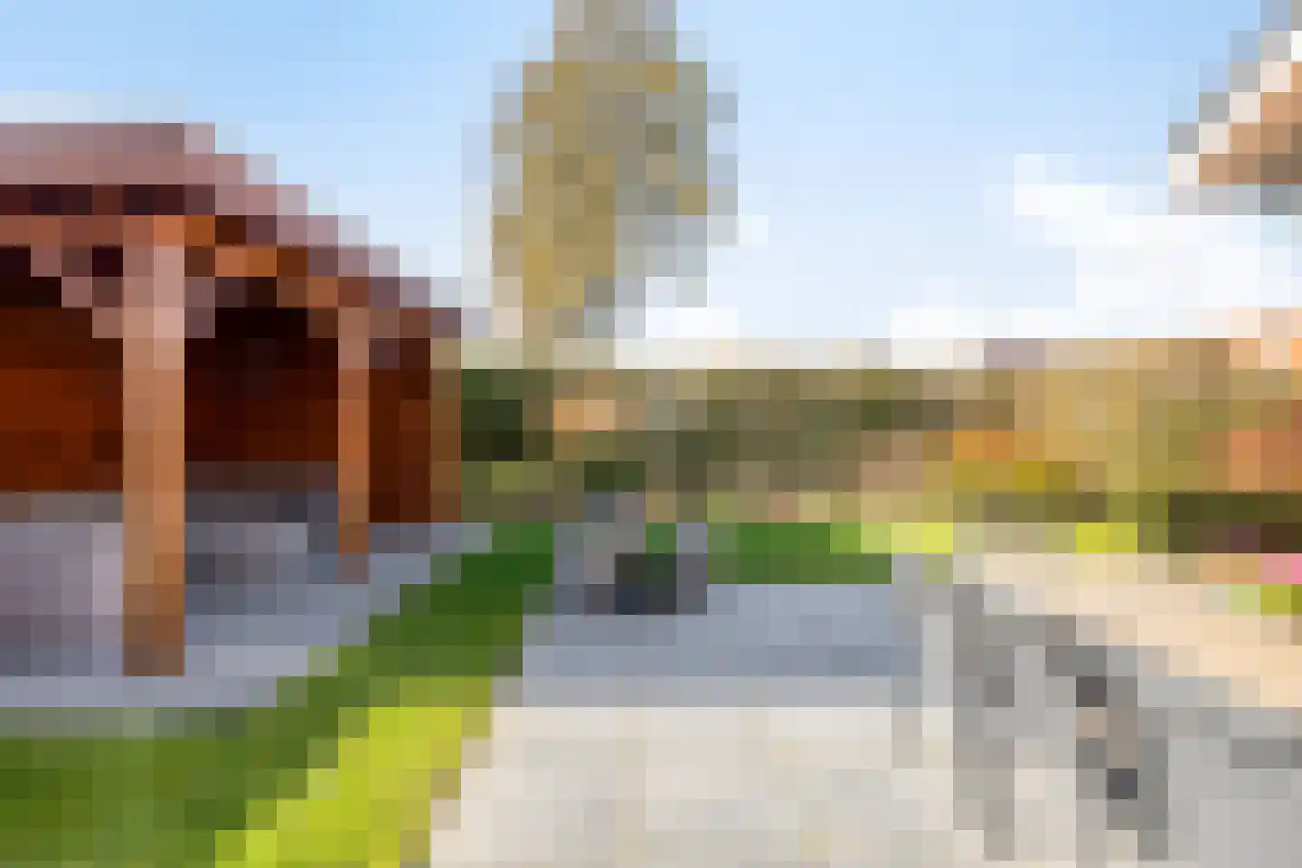 Suikerdoossingel 28 Maasbracht thumbnail 69