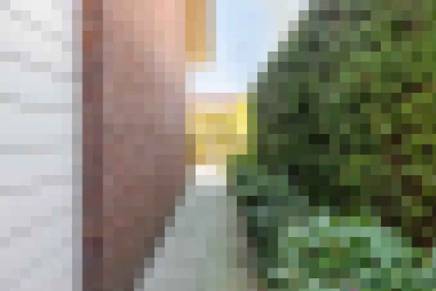 Suikerdoossingel 28 Maasbracht thumbnail 78