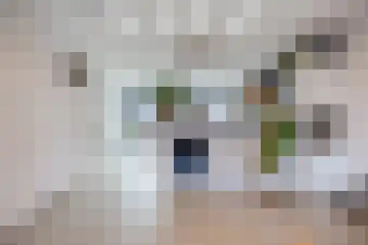 Suikerpad 17 Zevenbergen thumbnail 12