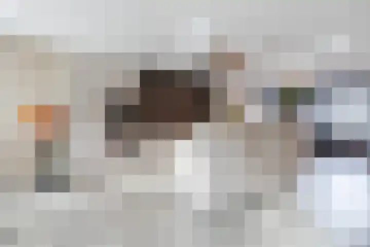 Suikerpad 17 Zevenbergen thumbnail 15