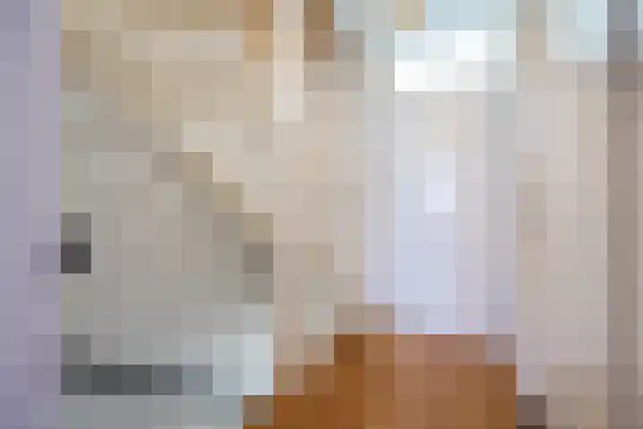 Suikerpad 17 Zevenbergen thumbnail 21