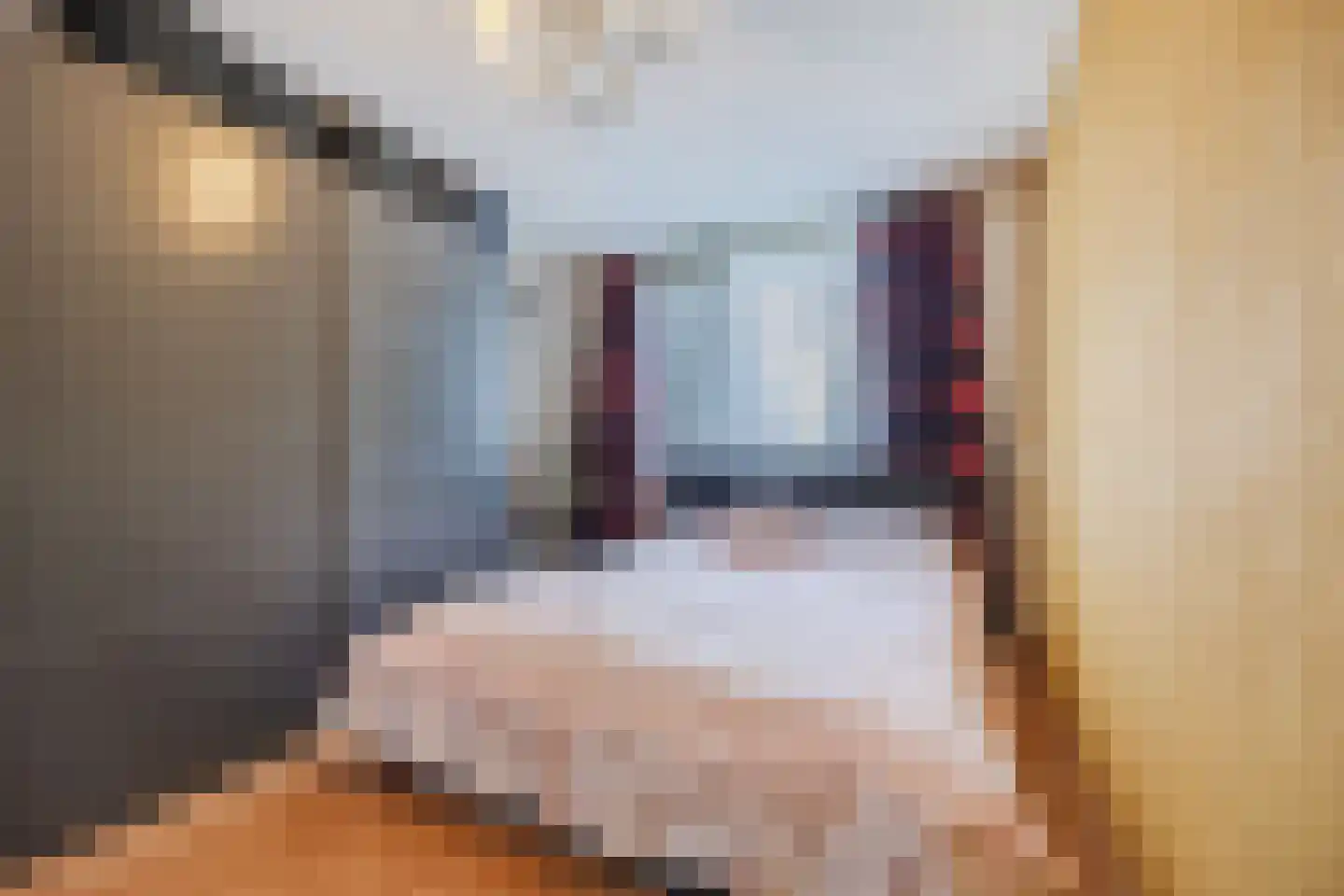 Suikerpad 17 Zevenbergen thumbnail 22