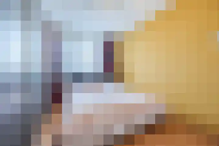 Suikerpad 17 Zevenbergen thumbnail 23