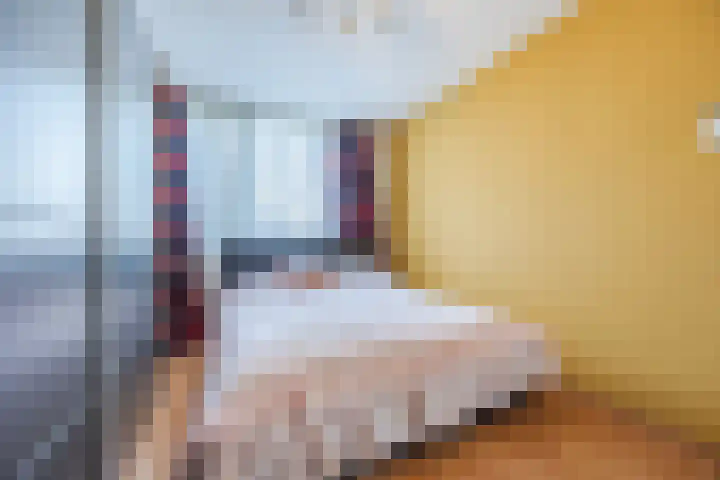 Suikerpad 17 Zevenbergen thumbnail 23