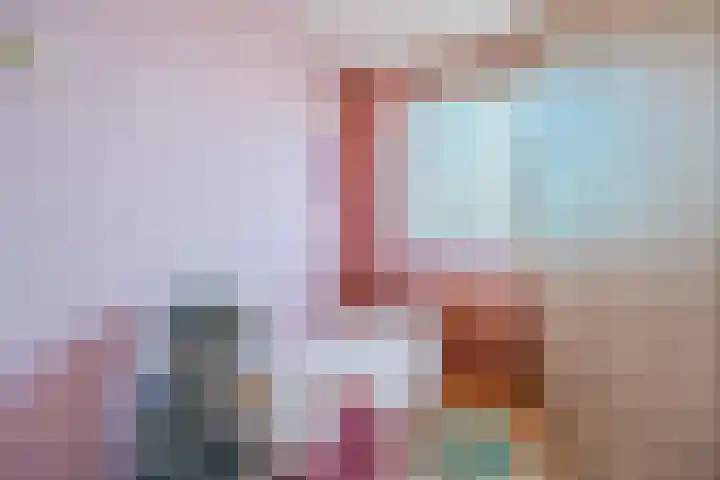 Suikerpad 17 Zevenbergen thumbnail 24
