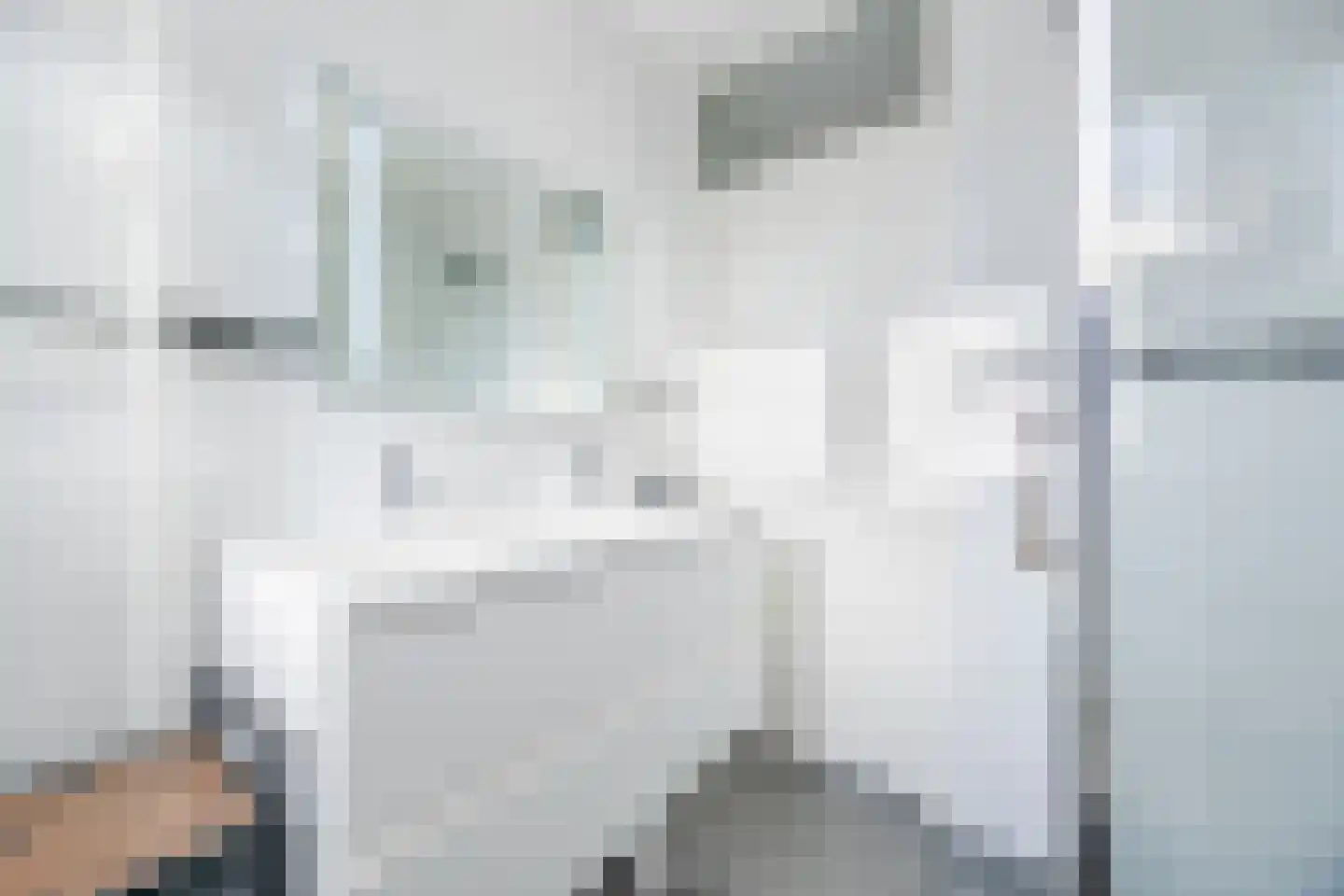 Suikerpad 17 Zevenbergen thumbnail 28