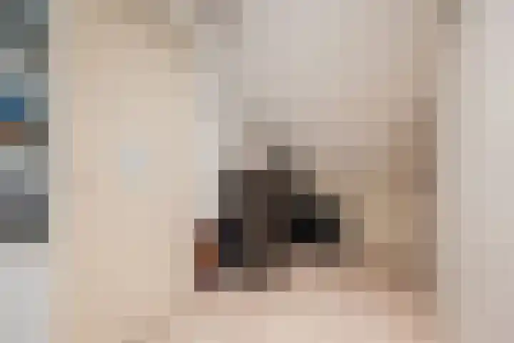 Suikerpad 17 Zevenbergen thumbnail 30