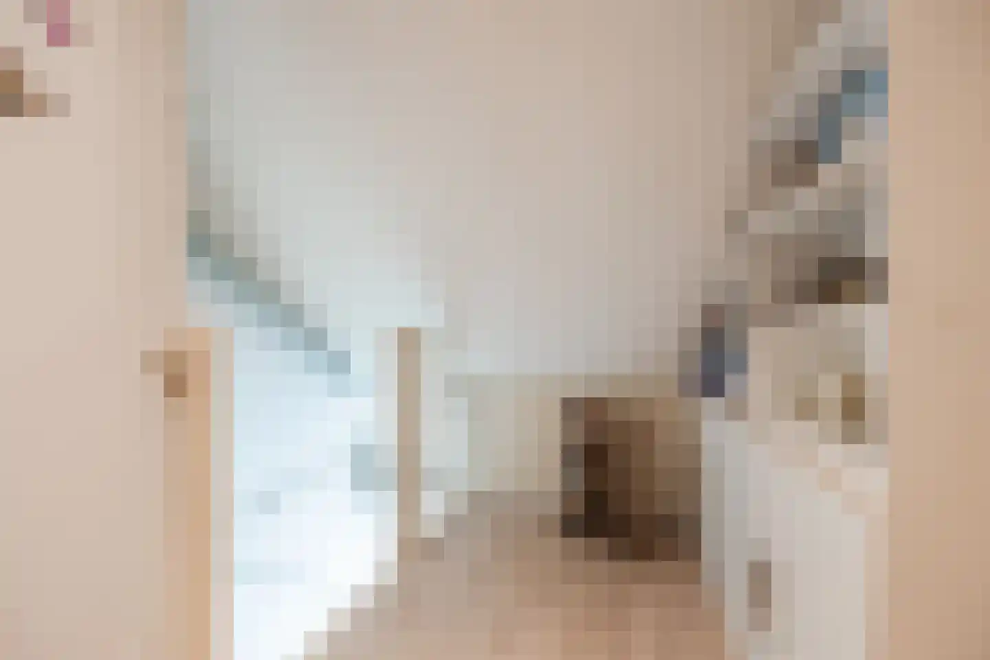 Suikerpad 17 Zevenbergen thumbnail 31