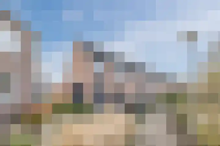 Suikerpad 17 Zevenbergen thumbnail 37