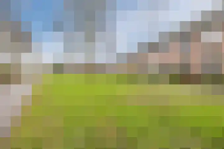 Suikerpad 17 Zevenbergen thumbnail 38