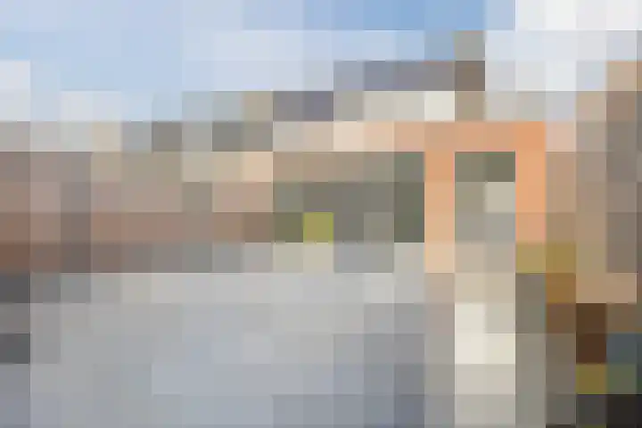 Suikerpad 17 Zevenbergen thumbnail 4