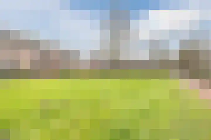 Suikerpad 17 Zevenbergen thumbnail 5