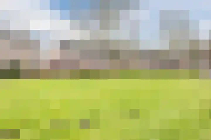 Suikerpad 17 Zevenbergen thumbnail 6