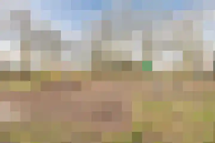 Suikerpad 17 Zevenbergen thumbnail 7
