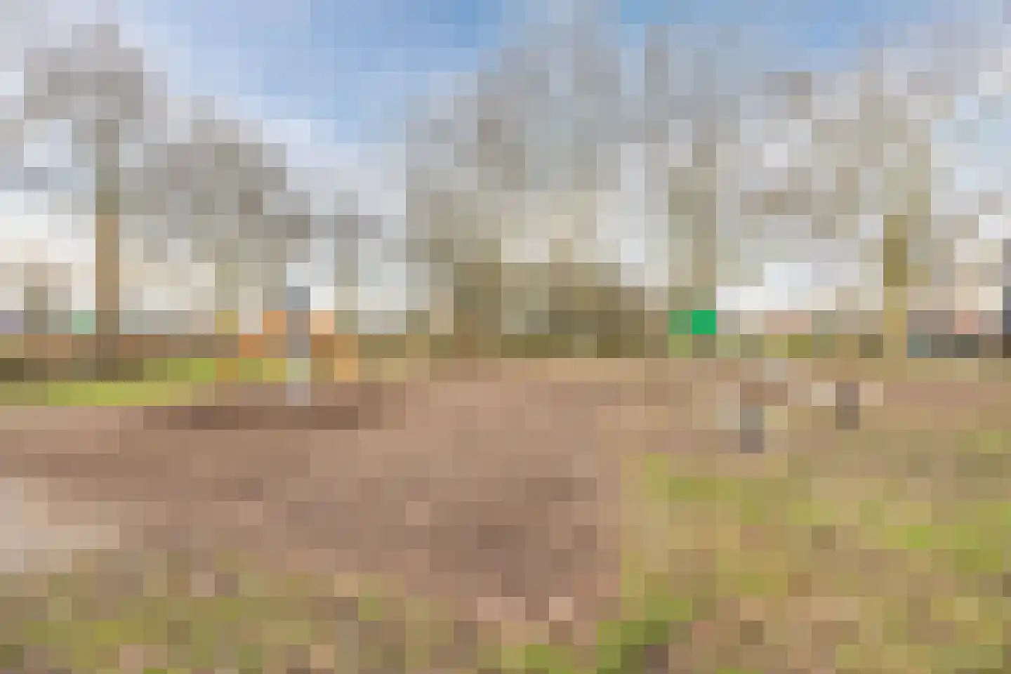 Suikerpad 17 Zevenbergen thumbnail 7