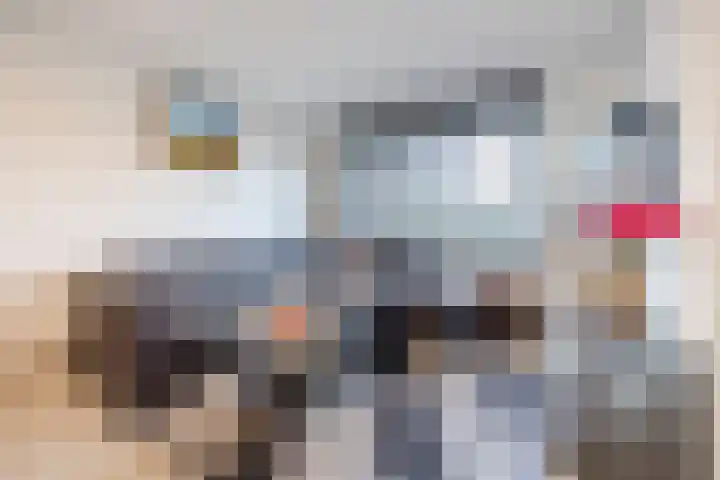 Suikerpad 17 Zevenbergen thumbnail 9