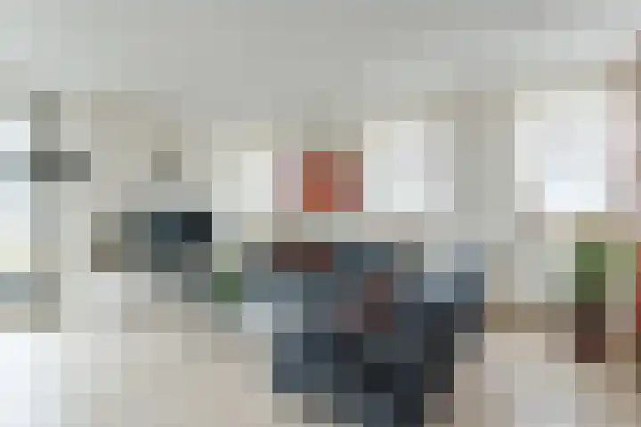 Suikerpeer 13 Boskoop thumbnail 10