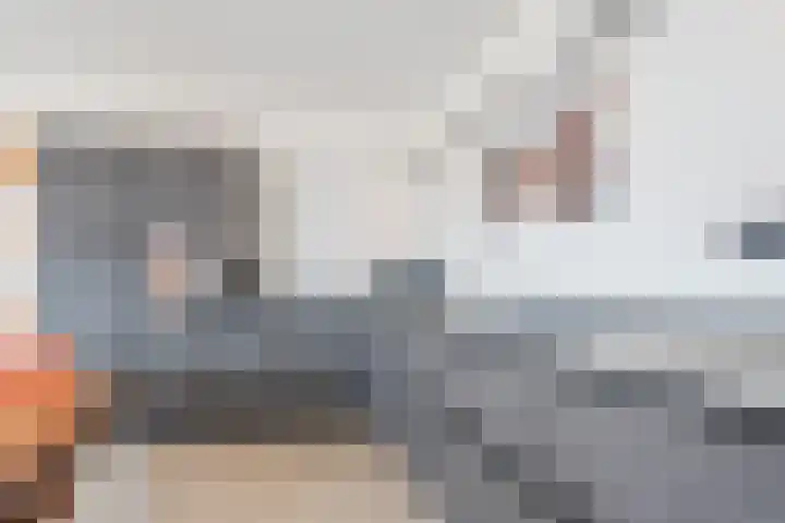 Suikerpeer 13 Boskoop thumbnail 16