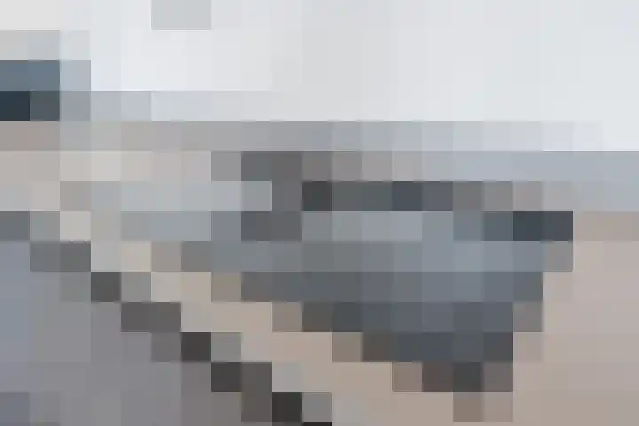 Suikerpeer 13 Boskoop thumbnail 17